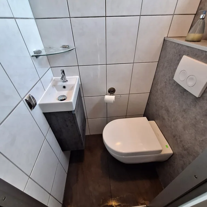 Klein toilet met hangtoilet, grijze voorzetwand met drukplaat en een fonteintje op een kastje